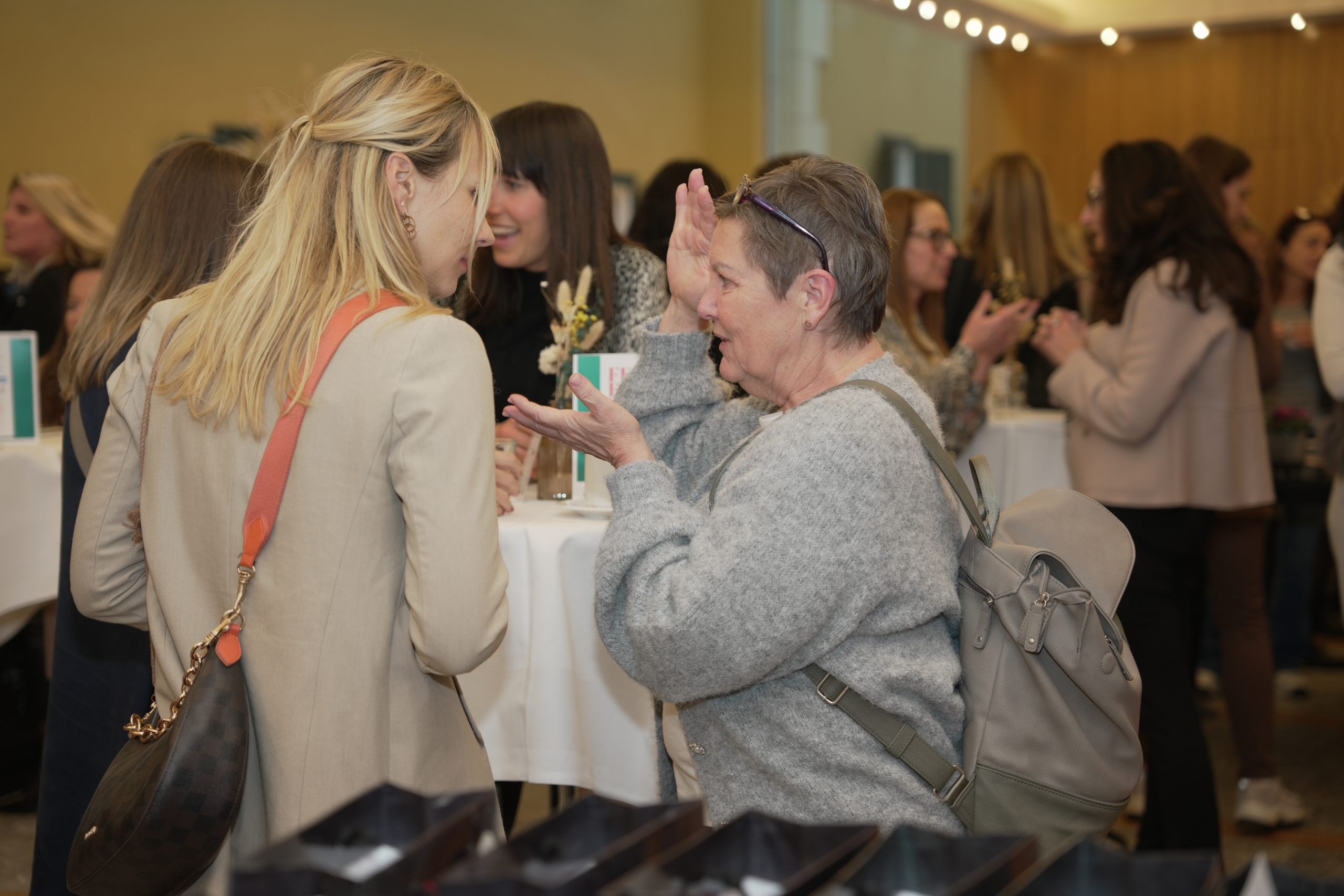 DSC00099 feed-2023-female-economic-empowerment-day-kaernten-klagenfurt-6